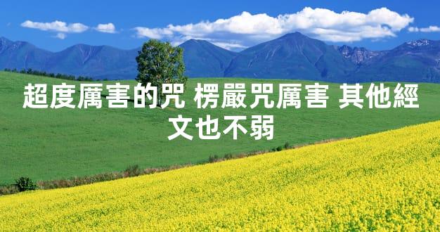 超度厲害的咒 楞嚴咒厲害 其他經文也不弱